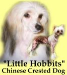Little Hobbits