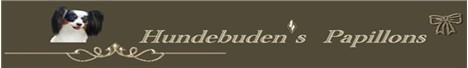 Hundebudens Papillons
