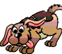 wedelnder Hund