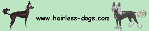 Logo Hairless-Dogs.com